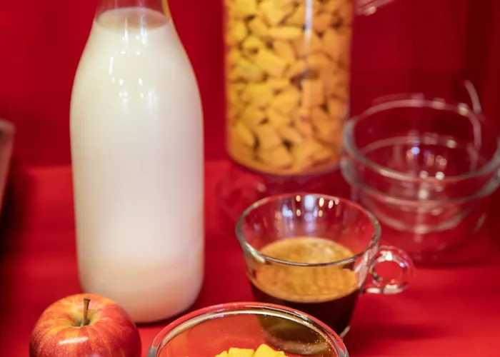 Hotelf1 Lyon Hotel *